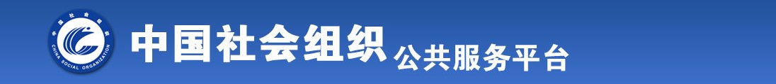 插逼观看全国社会组织信息查询